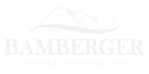 bamberger steinreinigung negativ logo